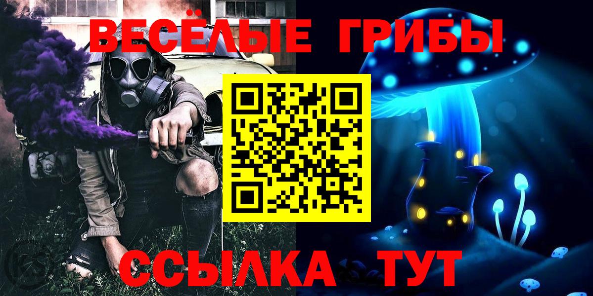 Псилоцибиновые грибы Psilocybe Нефтекамск