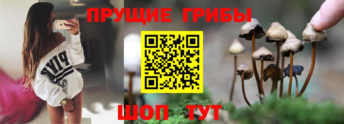 Псилоцибиновые грибы Psilocybine cubensis  Псилоцибиновые грибы Psilocybe  Вход с VPN  купить наркоту  Нефтекамск 